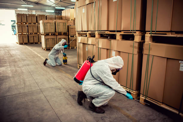 Best Termite Control Services  in Highland Village, TX