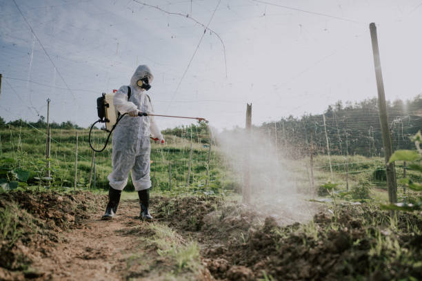 Best Pest Control Cost  in Highland Village, TX