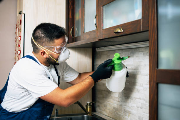 Pest Control Cost in Highland Village, TX