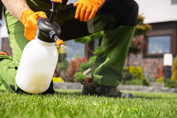 Best Flea Control Services  in Highland Village, TX