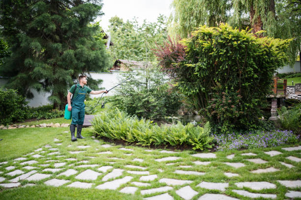 Best Best Pest Control Companies  in Highland Village, TX