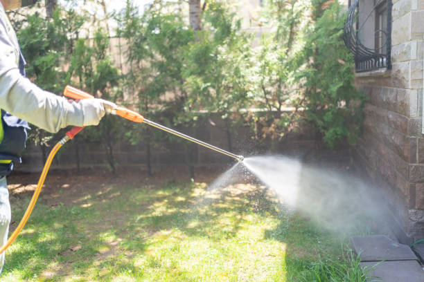 Best Affordable Pest Control Services  in Highland Village, TX