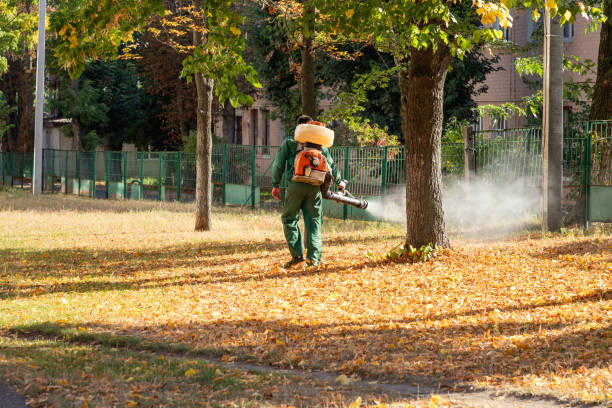Best Wasp Removal Services  in Highland Village, TX