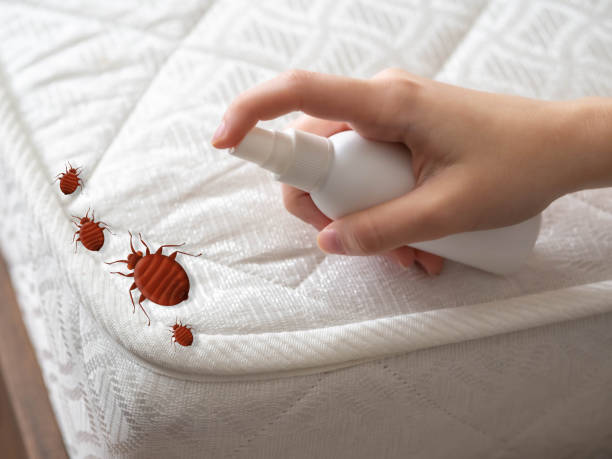 Best Pest Prevention Services  in Highland Village, TX