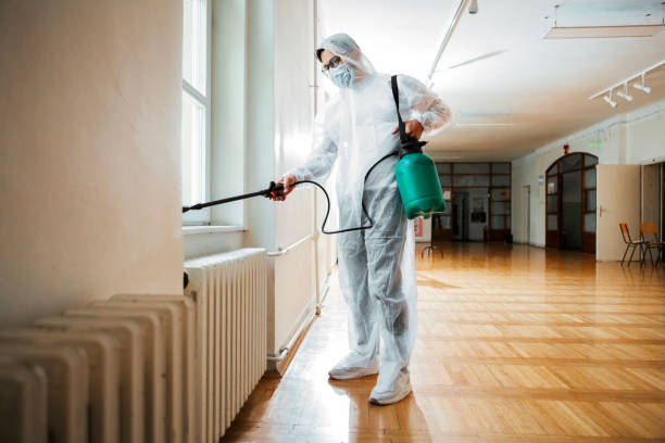 Wasp Removal Services in Highland Village, TX
